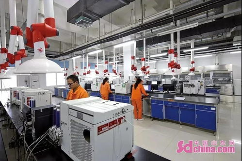 东明石化稳居行业前列 百强榜单第四彰显实力，新型膜材料布局引领未来