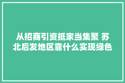 从招商引资到家当集聚，苏北后发地区靠什么实现绿色崛起？——以新型膜材料制造为例